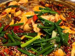 -乡土特色.冷锅鱼.牦牛肉汤锅