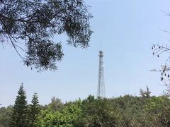 -南宁良凤江国家森林公园