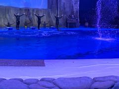 -华夏文旅海洋公园