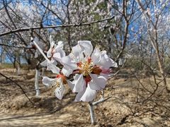 -滨河世纪广场公园