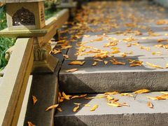 -慧因高丽寺