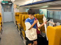 -龙阳路磁悬浮列车总站-停车场