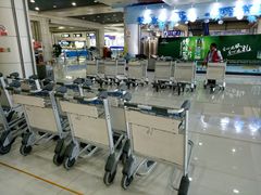 -丽江三义国际机场