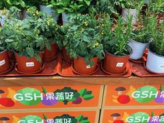 -新荟城(望京店)