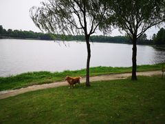 -美兰湖景区