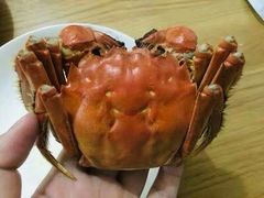 -虾外婆