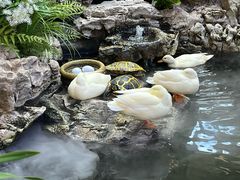 -赛格国际购物中心(小寨店)