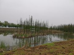 -艾溪湖湿地公园