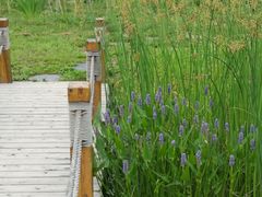 -中家鑫园温泉酒店鑫悦汤泉