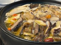 -蘑统田下·野生菌火锅
