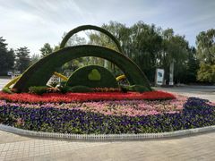 -大兴滨河森林公园