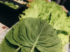 -臻牛烤肉