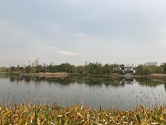 -武汉园博园(武汉自然博物馆)