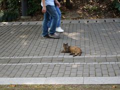 -苏州河梦清园环保主题公园