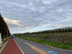 -上海长兴岛郊野公园