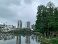 -四海公园(南山区)
