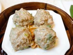 新会陈皮牛肉球-龙的酒楼·手工早茶·顺德菜(近良路店)