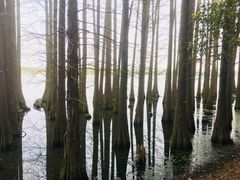 -东湖落雁景区