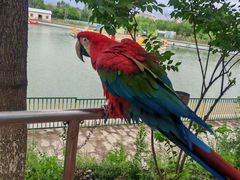 -水上乐园·欢乐世界