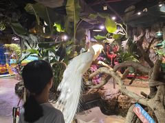 -正佳雨林生态植物园