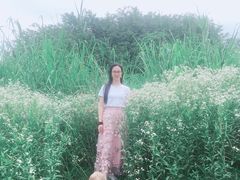 -白鹭湾湿地公园