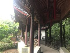 -十八棵（老龙井）御茶园(老龙井店)