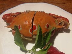 -纳瓦新疆菜(银都店)