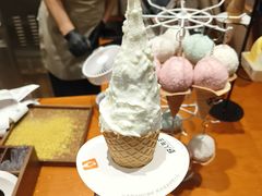 -野人先生现做冰淇淋(北京环宇荟店)