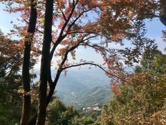 -广州市石门国家森林公园