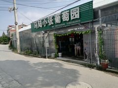 -马陆小张葡萄园农家乐