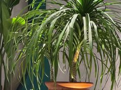 -小菜园新徽菜(镇江京口吾悦店)