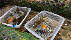 -钓虾工场·钓虾·赶海(回龙观店)