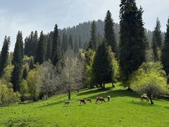 -新疆那拉提国家旅游度假区