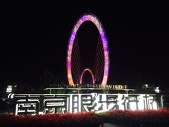 -南京眼步行桥