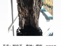 -六鳌翡翠湾滨海度假景区