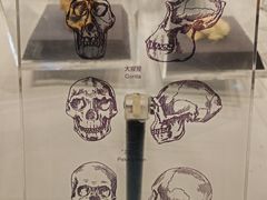 -北京周口店北京人遗址博物馆