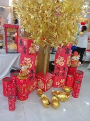 -宝生月子中心·独栋独院式(南山店)