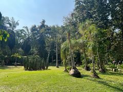 -中国科学院西双版纳热带植物园