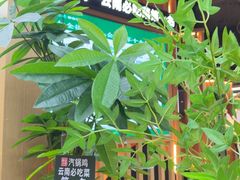 -云海肴·汽锅鸡·云南代表菜(天山百盛优客店)