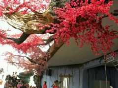 android_upload_pic-南戴河国际娱乐中心