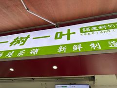 -一树一叶·福建茶档(石鼓路店)