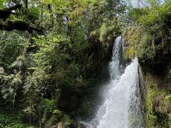-龙苍沟森林公园