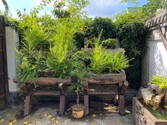 -慢丽江·云南野生菌土鸡锅(西山店)
