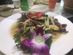 -鹭岛新泉客家菜·海鲜·融合菜(莲前店)