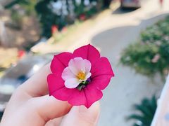 -湾里人家(旺山景区店)