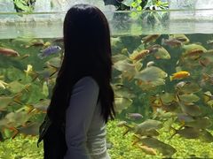 -左海海底世界