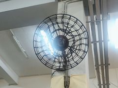 -长洲渡车船码头