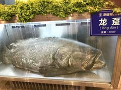 -御唐府海珊瑚主题餐厅