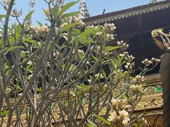 -西双版纳总佛寺