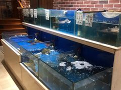 水产区-姜君·千岛湖鱼头馆(浦东大道店)